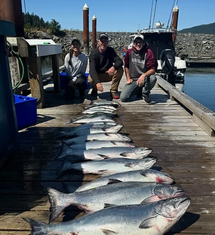 Spectacular Chinook salmon lineup